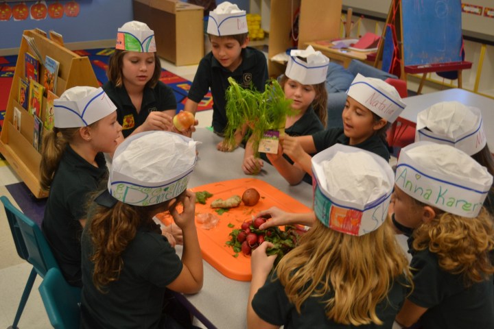 a group of people performing on a counter