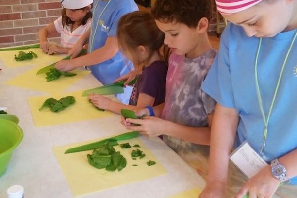 a young boy cutting a cake